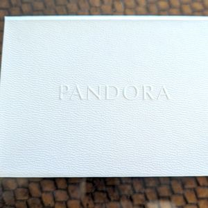 PANDORA Silver Care Kit